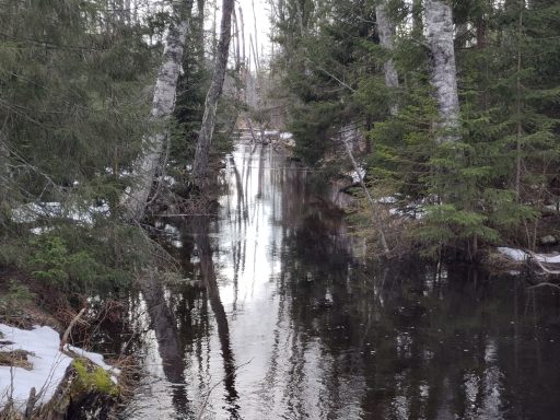 Der Wanderweg führt am Fluss entlang