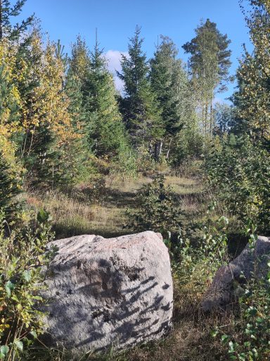 Einer der schönsten Wanderwege startet in Strömbacka